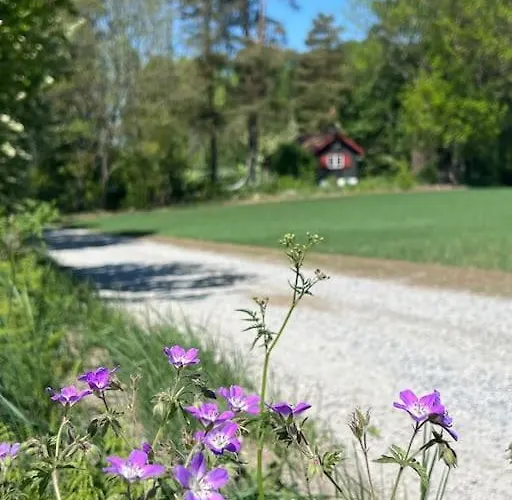 Feriehus Koselig Pa Eget Tun Med Varmtvanns Utedusj As
