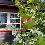 Feriehus Koselig På Eget Tun Med Varmtvanns Utedusj *